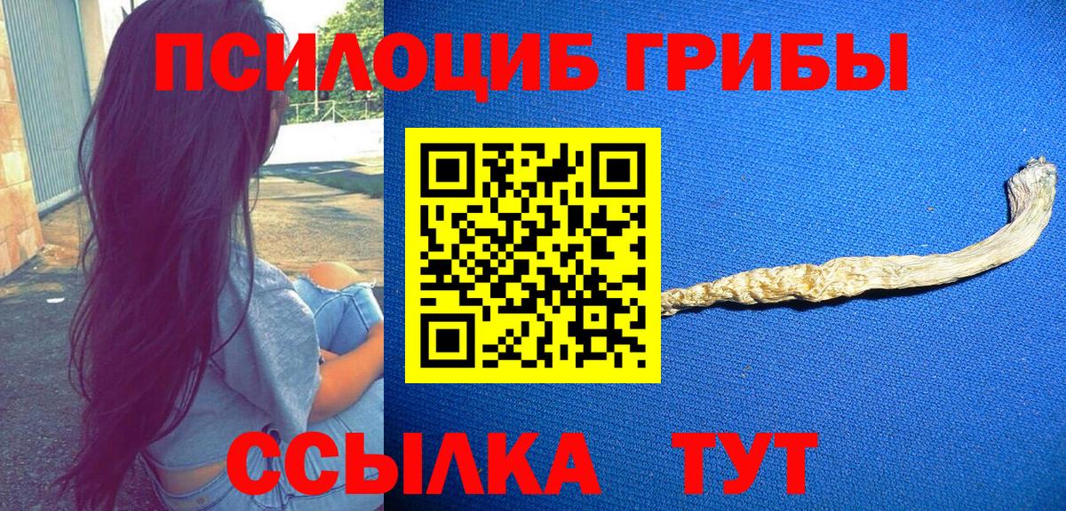 Галлюциногенные грибы Psilocybine cubensis Сафоново
