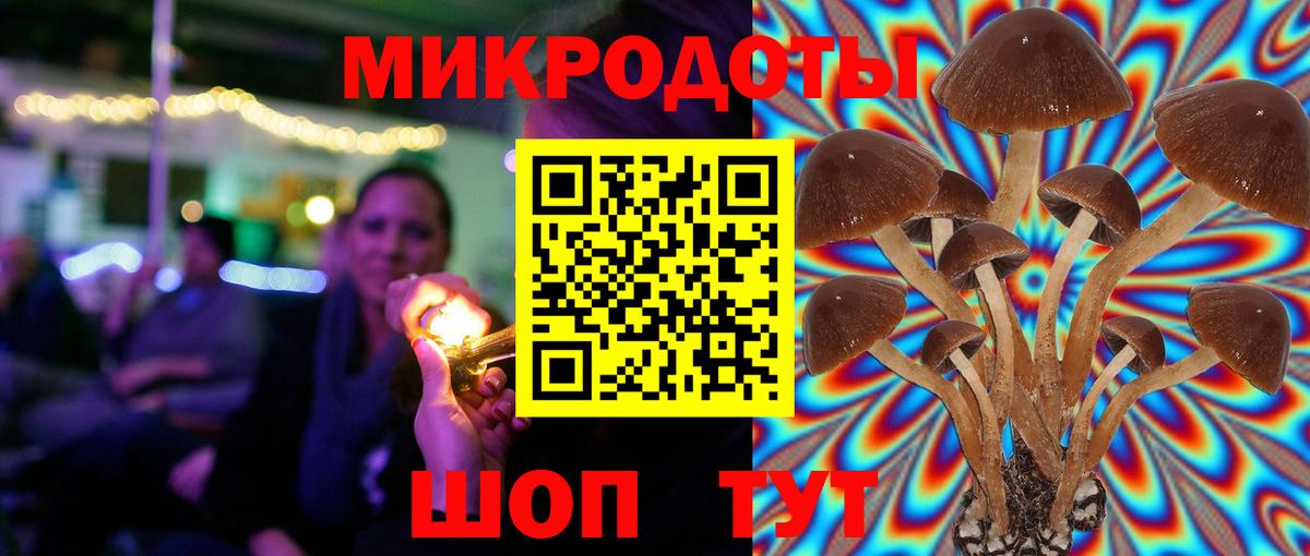 Сафоново  Галлюциногенные грибы ЛСД  Вход с VPN 
